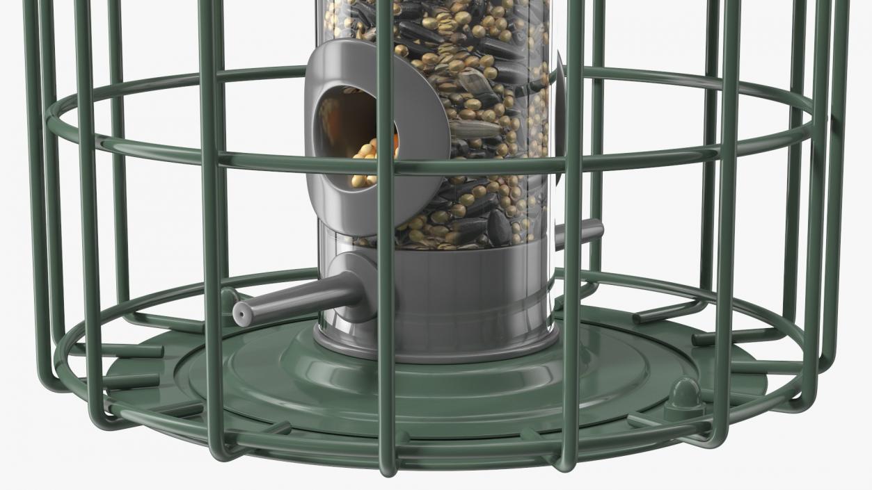 3D Caged Bird Feeder with Seeds model