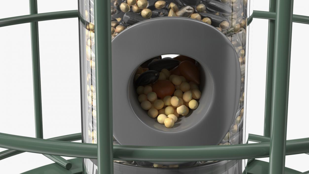 3D Caged Bird Feeder with Seeds model