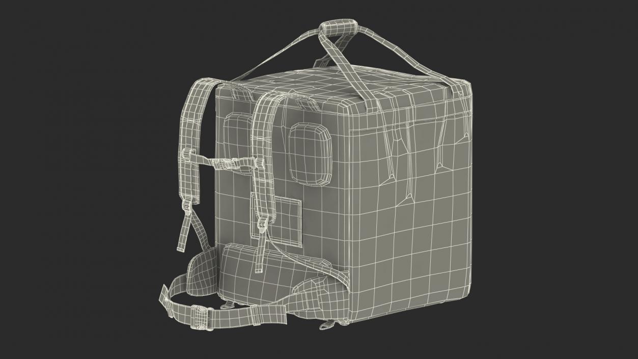 Courier Delivery Backpack Hendi Closed Black 3D model