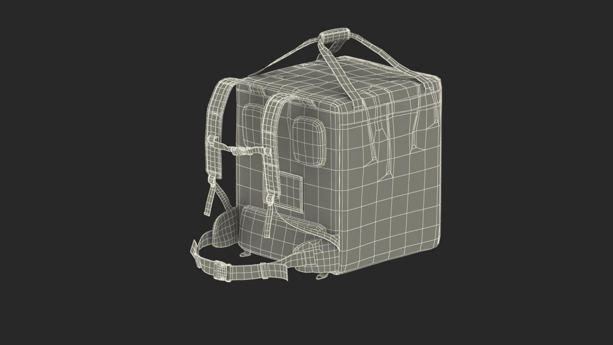 Courier Delivery Backpack Hendi Closed Black 3D model