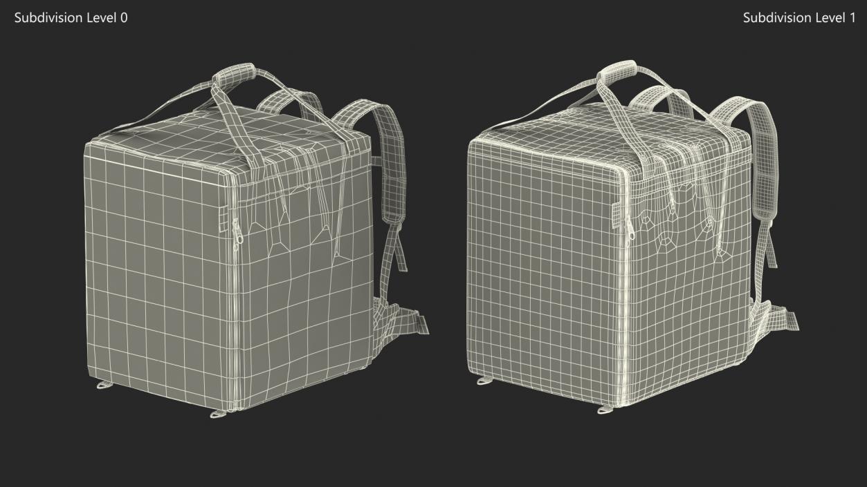 Courier Delivery Backpack Hendi Closed Black 3D model