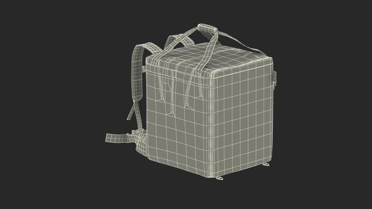 Courier Delivery Backpack Hendi Closed Black 3D model