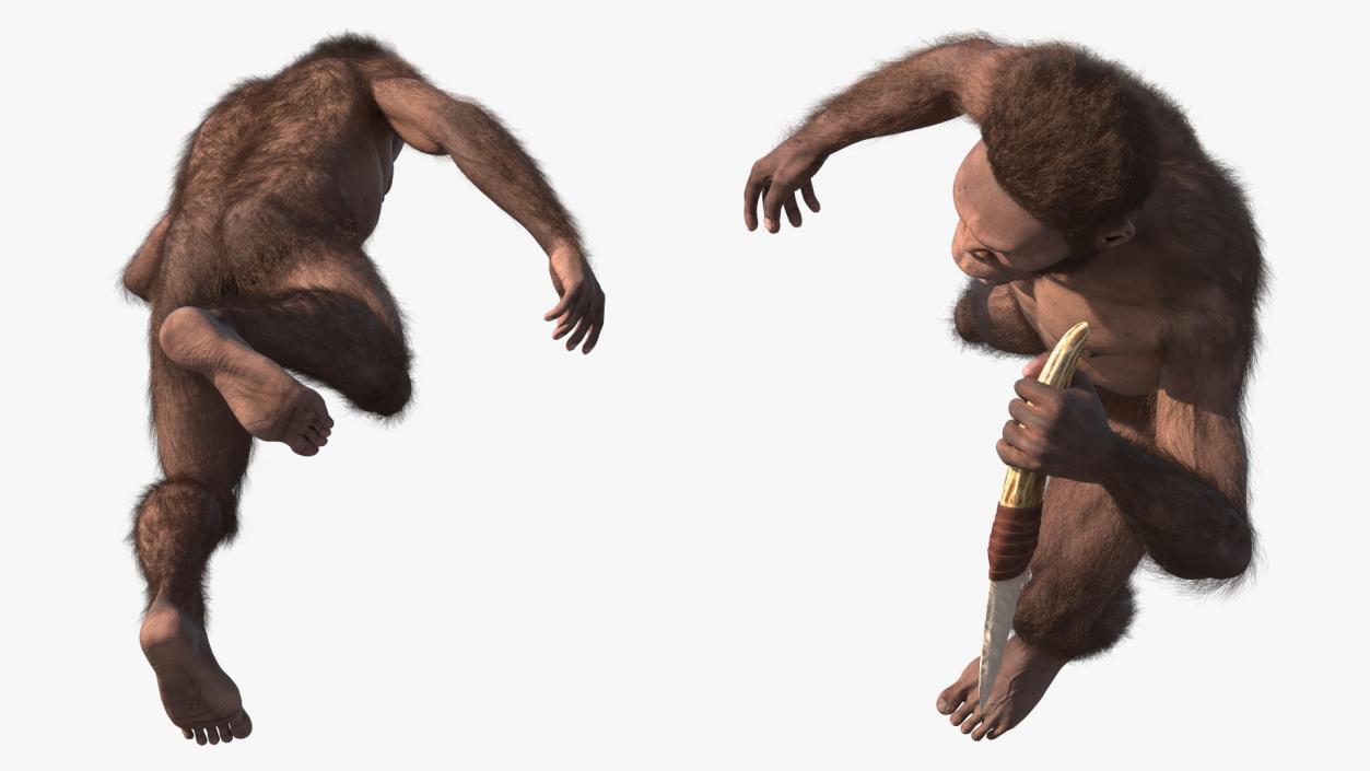 Homo Habilis with Knife in Fighting Pose Fur 3D model