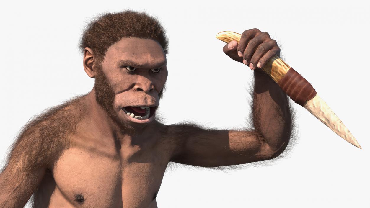 Homo Habilis with Knife in Fighting Pose Fur 3D model