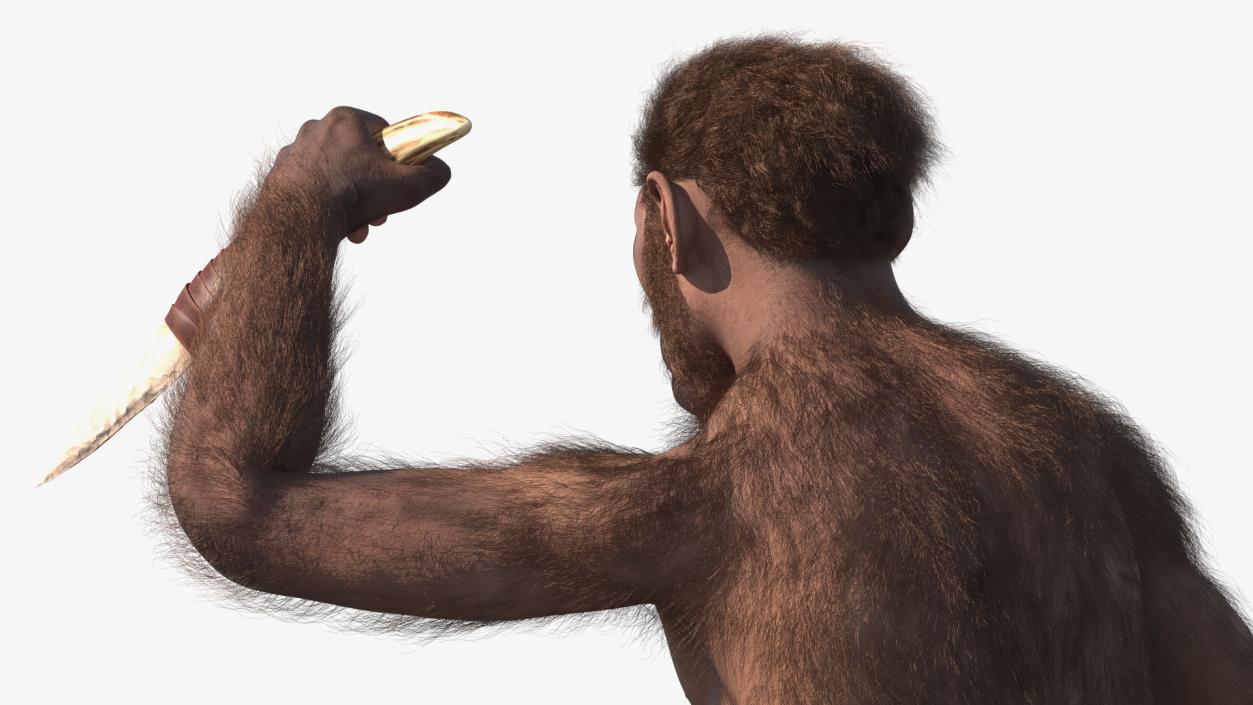 Homo Habilis with Knife in Fighting Pose Fur 3D model