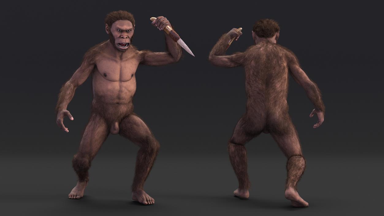 Homo Habilis with Knife in Fighting Pose Fur 3D model