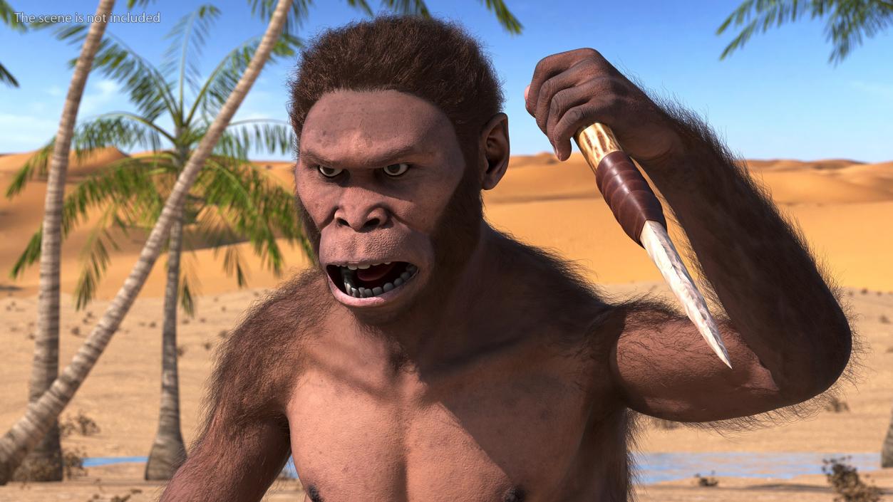 Homo Habilis with Knife in Fighting Pose Fur 3D model