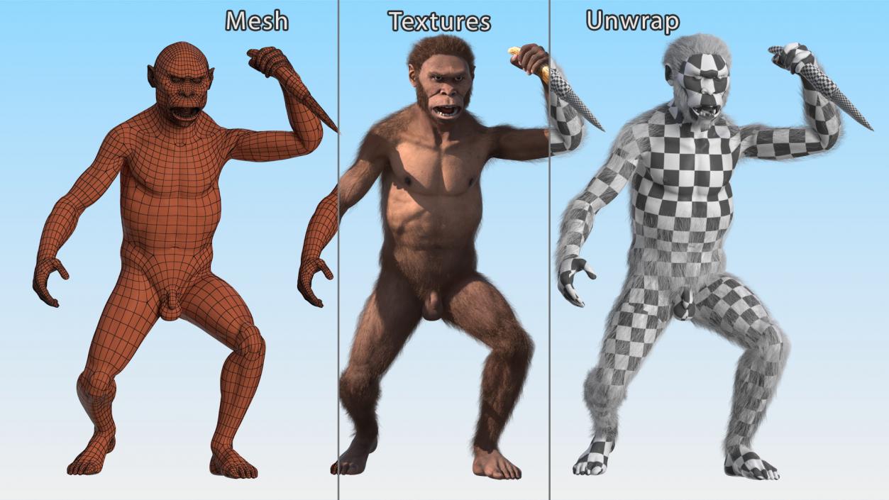 Homo Habilis with Knife in Fighting Pose Fur 3D model