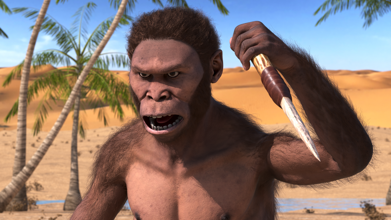 Homo Habilis with Knife in Fighting Pose Fur 3D model