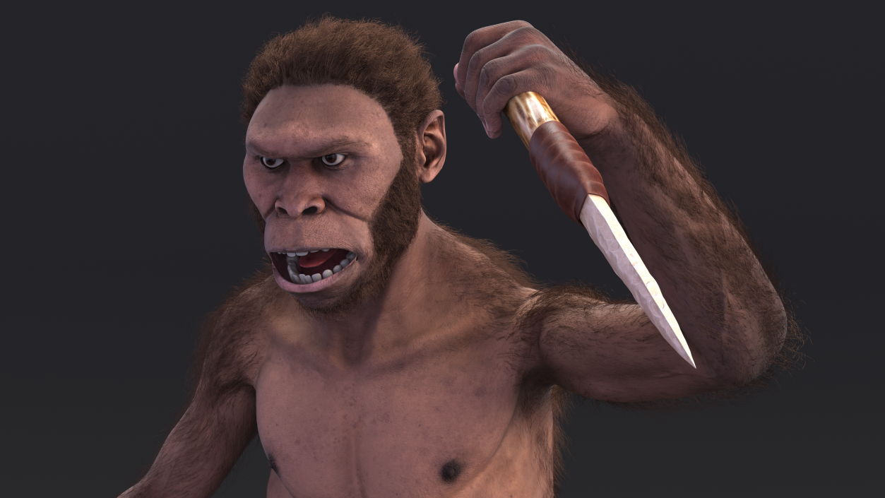 Homo Habilis with Knife in Fighting Pose Fur 3D model