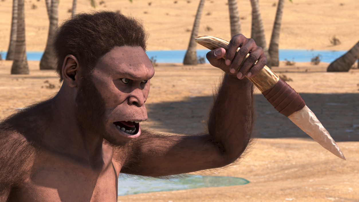 Homo Habilis with Knife in Fighting Pose Fur 3D model