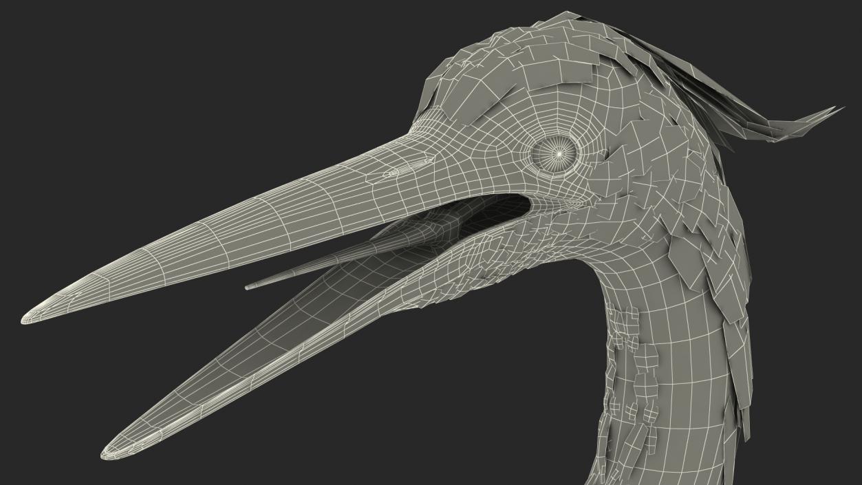 3D Grey Heron Rigged for Cinema 4D