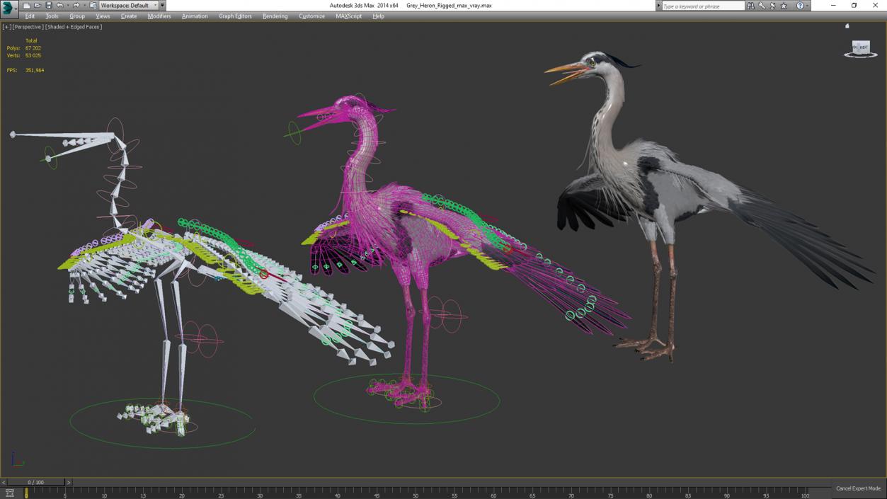 3D Grey Heron Rigged for Cinema 4D