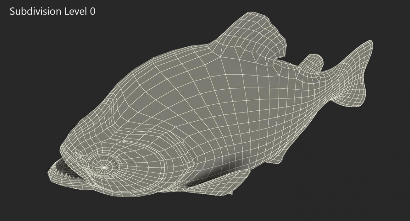 Piranha Rigged 3D model