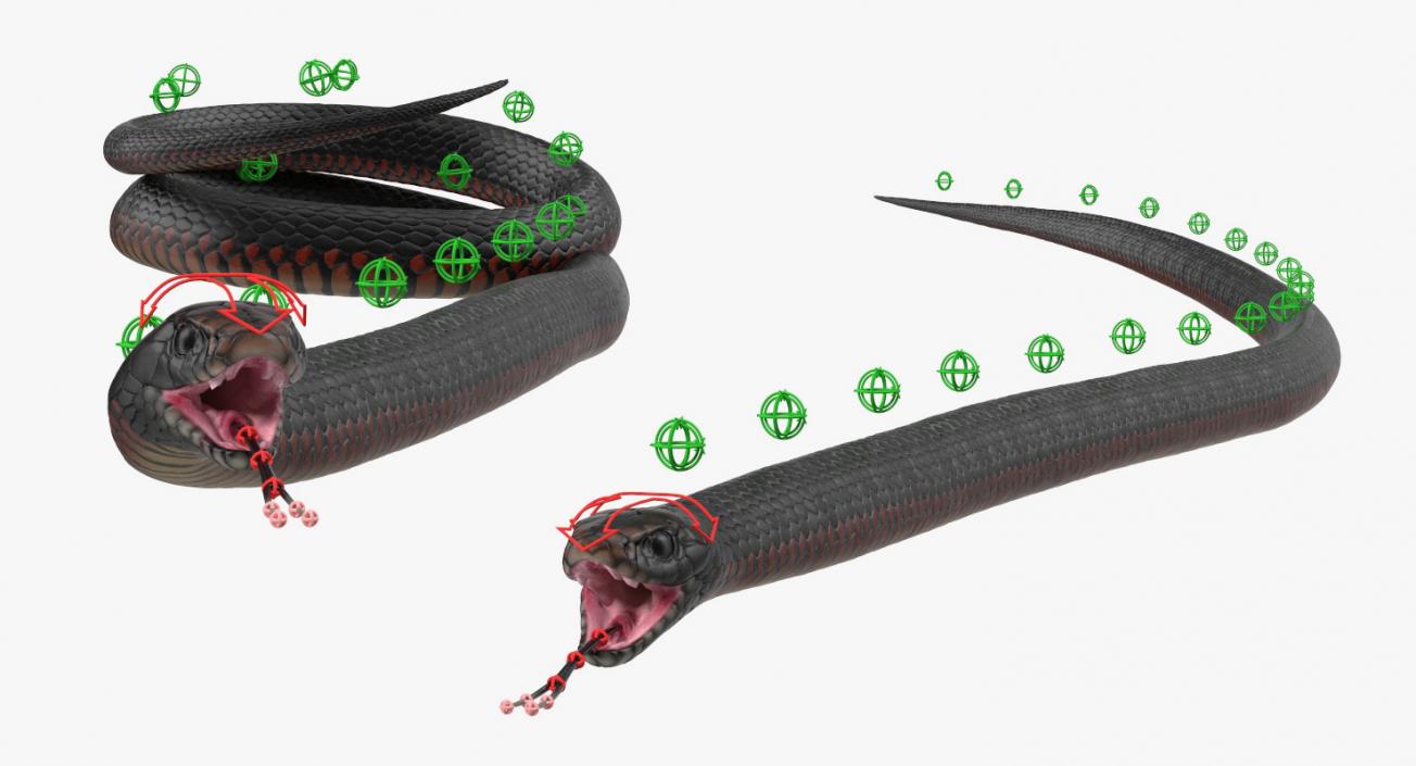 3D Rigged Snakes Collection 2