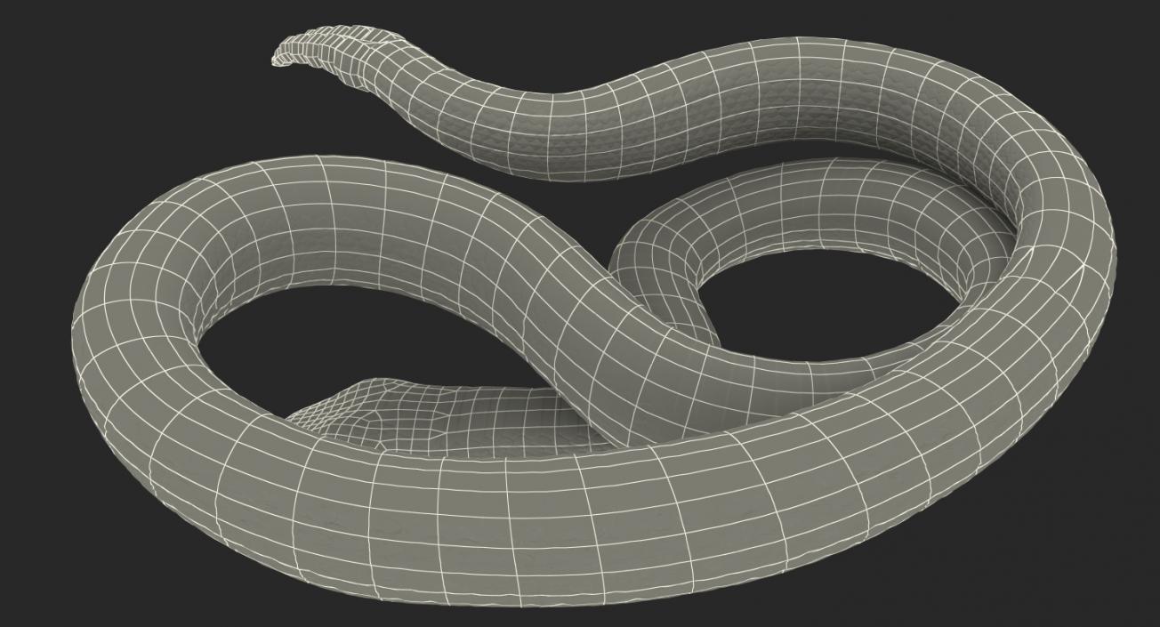 3D Rigged Snakes Collection 2