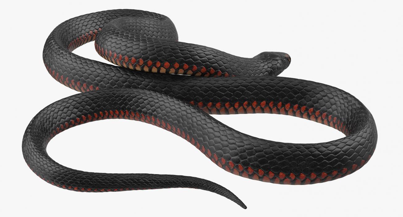 3D Rigged Snakes Collection 2