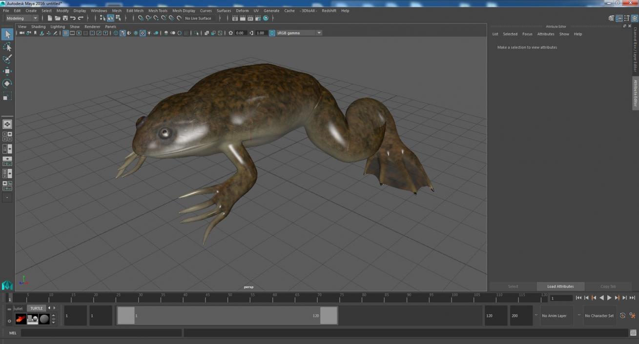 3D African Claw-toe Frog Sits Pose