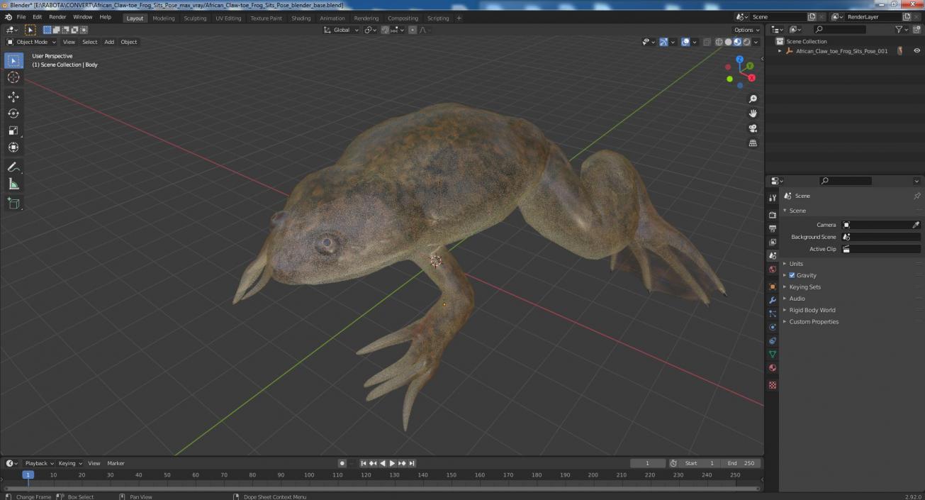 3D African Claw-toe Frog Sits Pose