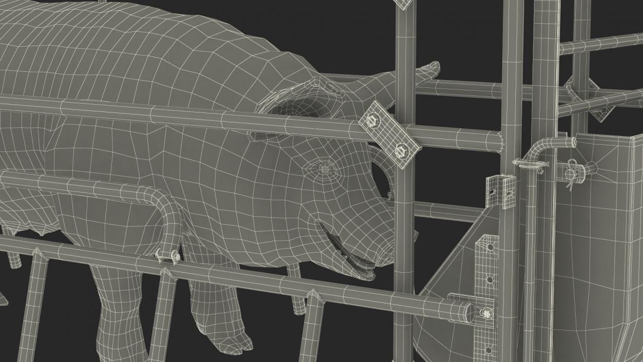 Pig in Farrowing Crate 3D