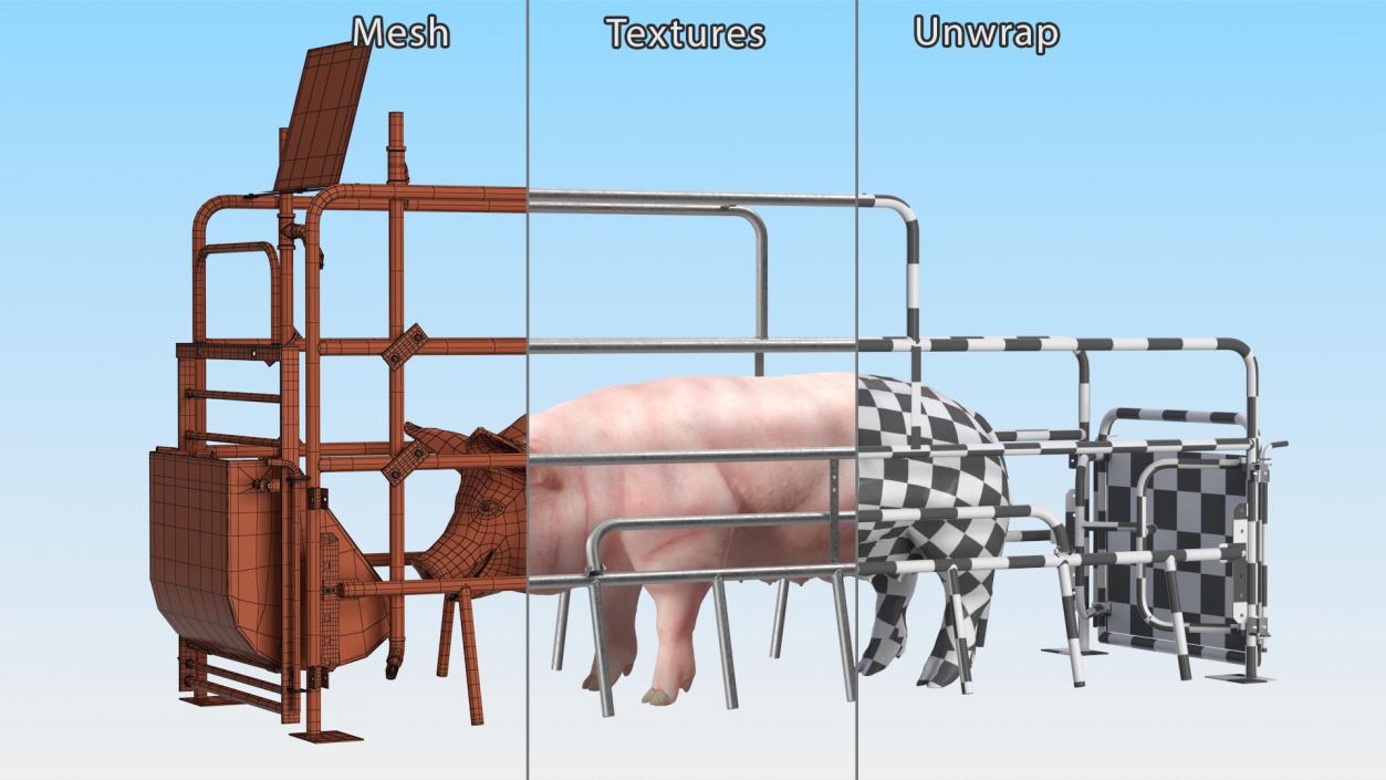 Pig in Farrowing Crate 3D