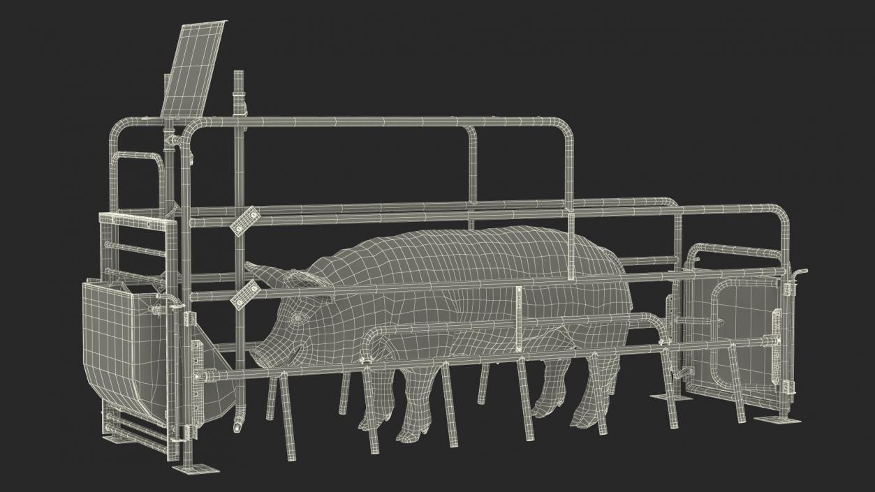 Pig in Farrowing Crate 3D