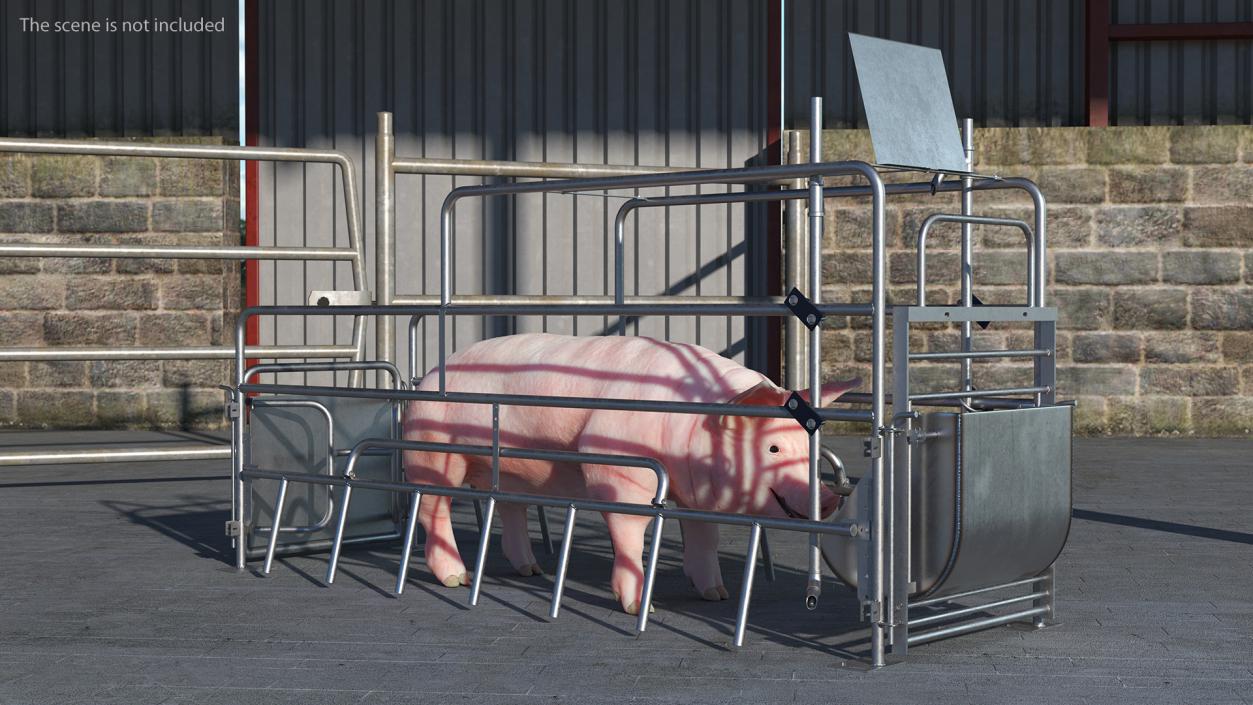 Pig in Farrowing Crate 3D