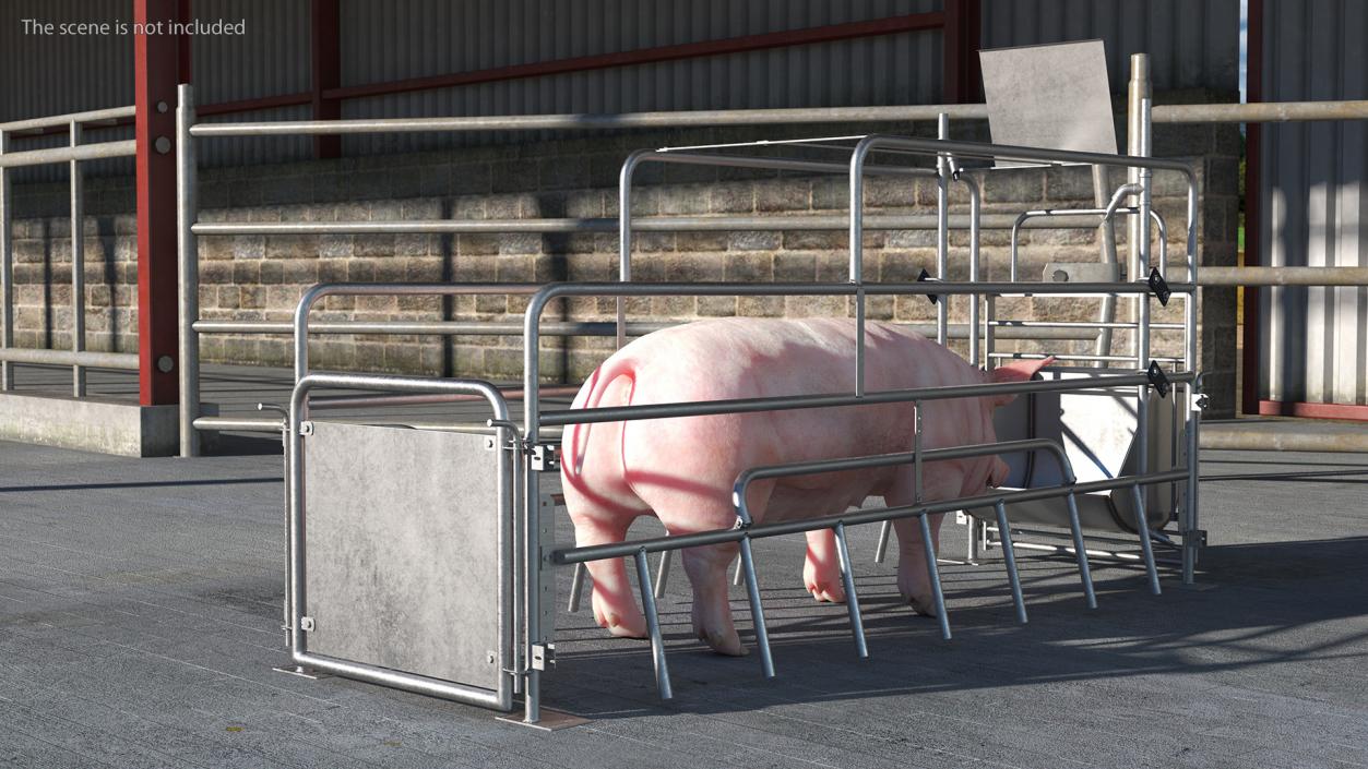 Pig in Farrowing Crate 3D