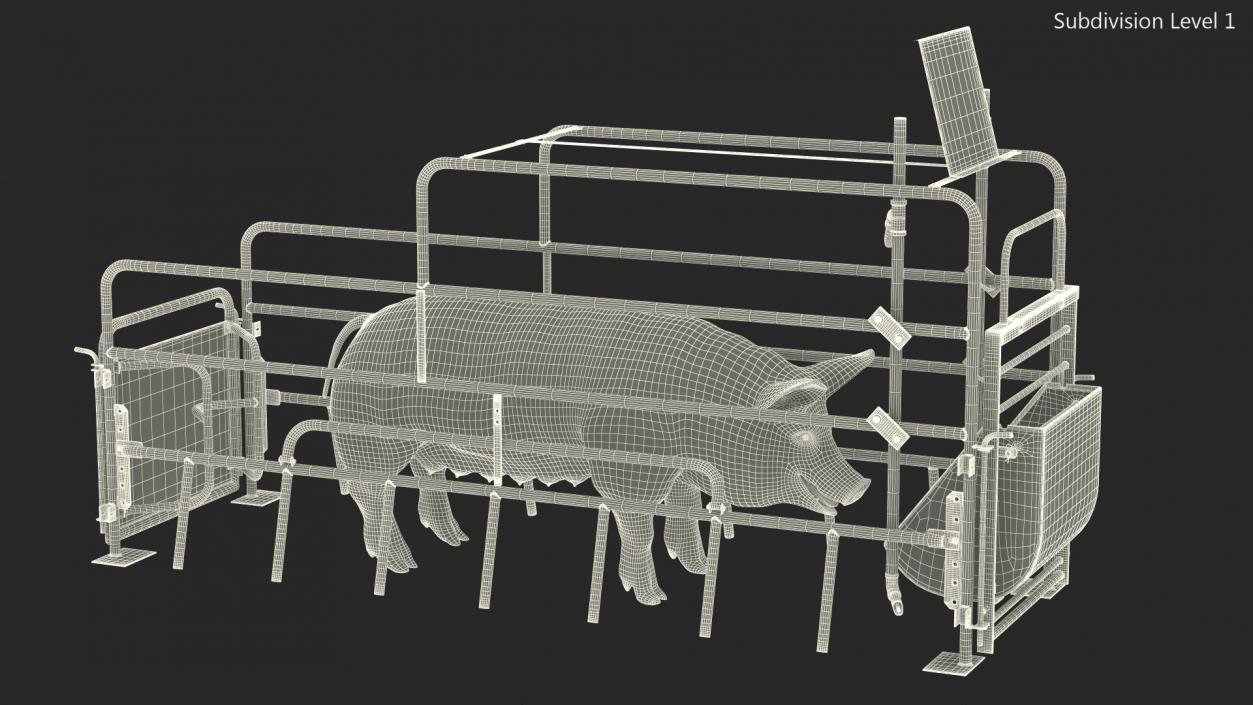 Pig in Farrowing Crate 3D