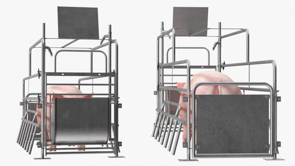 Pig in Farrowing Crate 3D