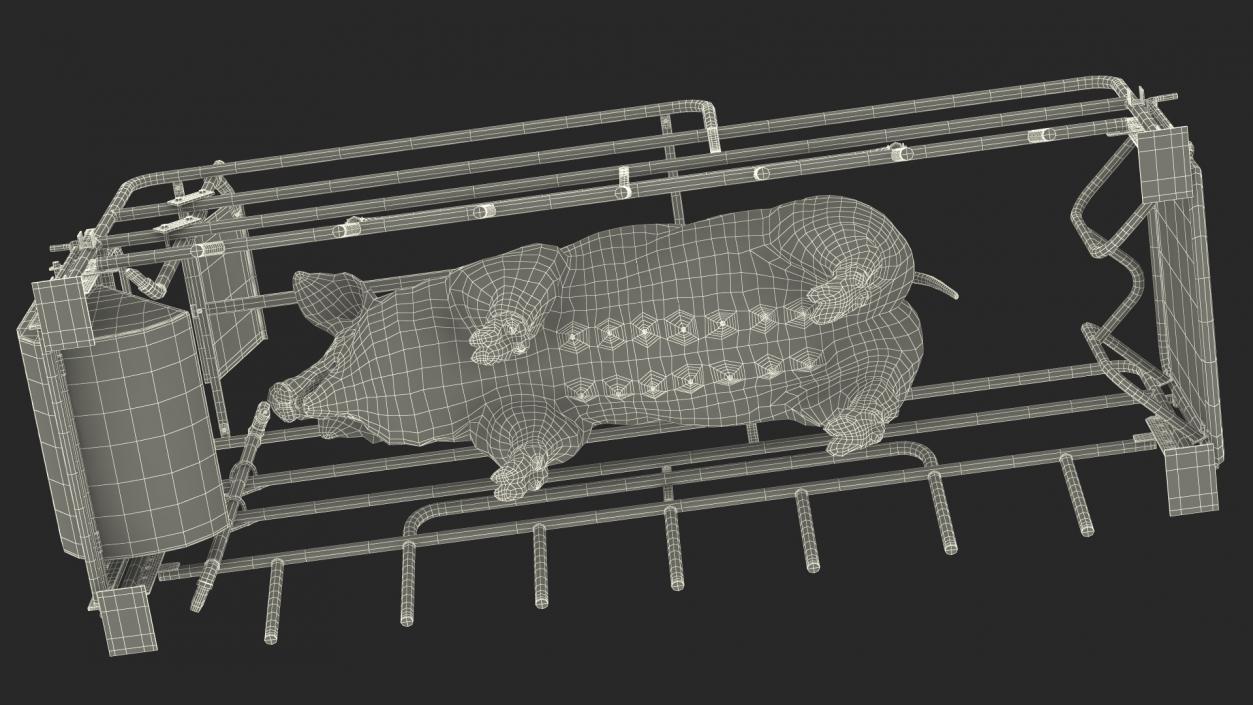 Pig in Farrowing Crate 3D