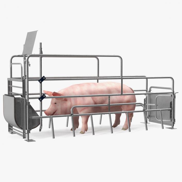 Pig in Farrowing Crate 3D