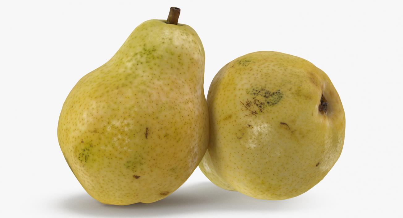 3D model Pear