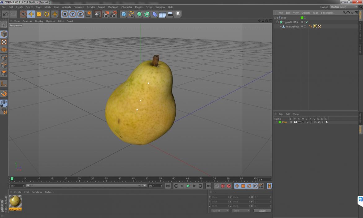 3D model Pear