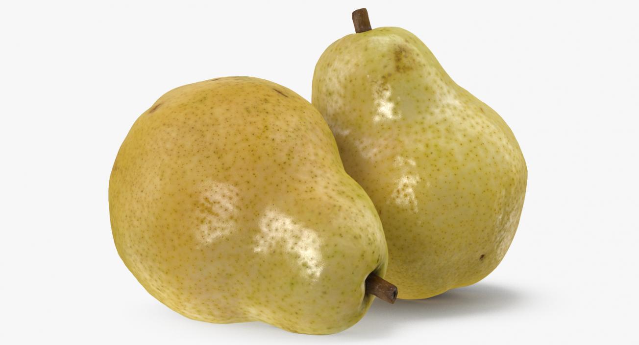 3D model Pear