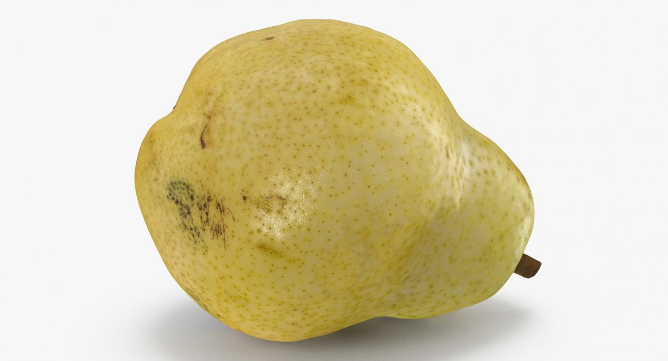 3D model Pear