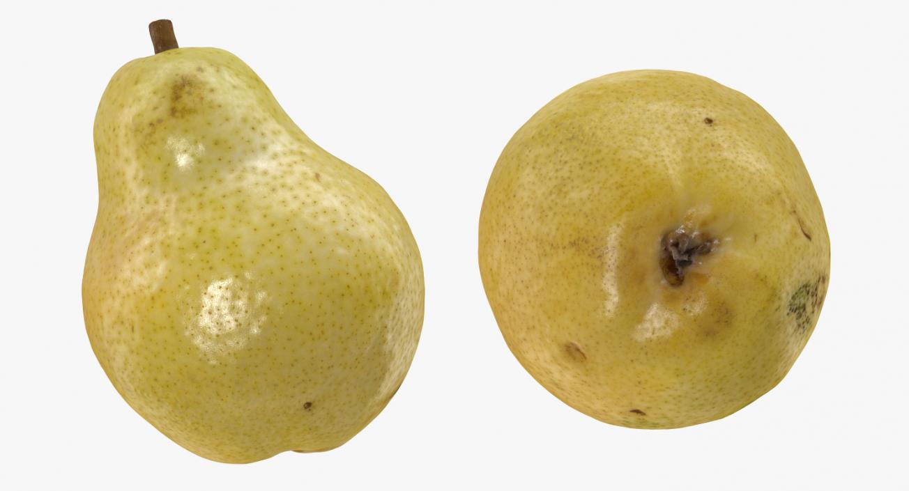 3D model Pear