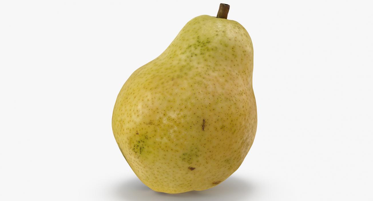 3D model Pear