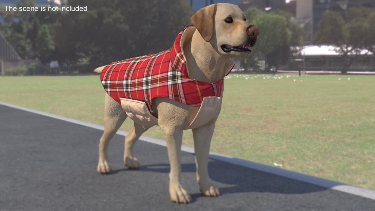 Dog Coat Red 3D