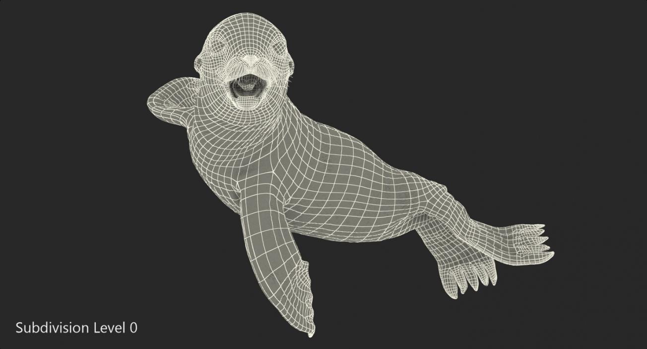 3D Wet Sea Lion Swimming Pose