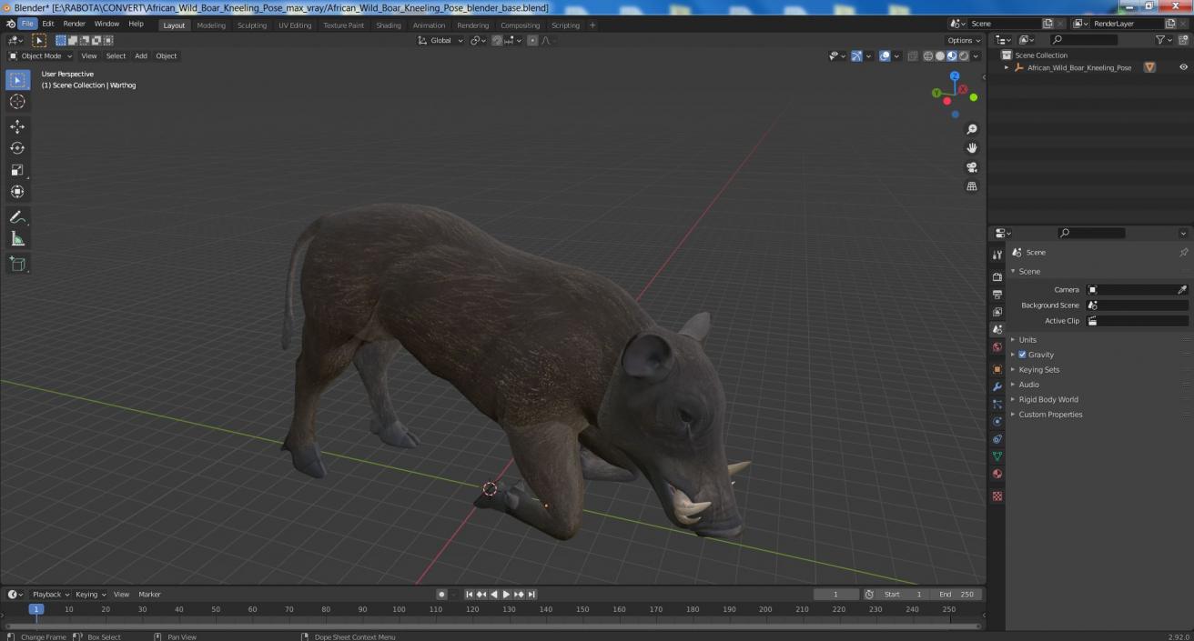 3D African Wild Boar Kneeling Pose 2 model