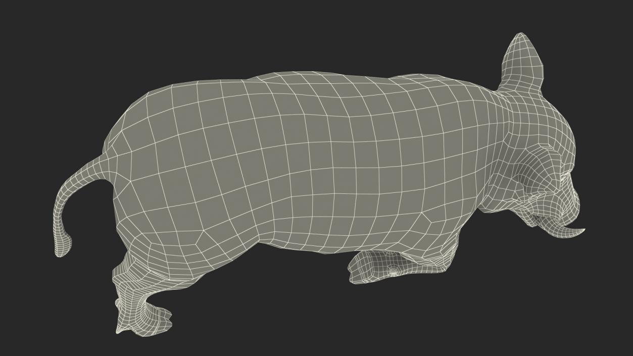 3D African Wild Boar Kneeling Pose 2 model