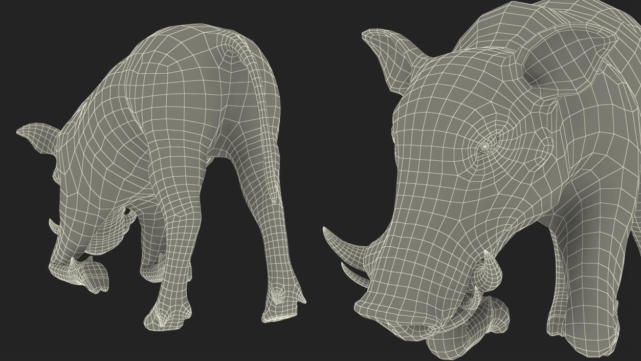 3D African Wild Boar Kneeling Pose 2 model