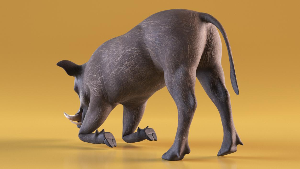 3D African Wild Boar Kneeling Pose 2 model