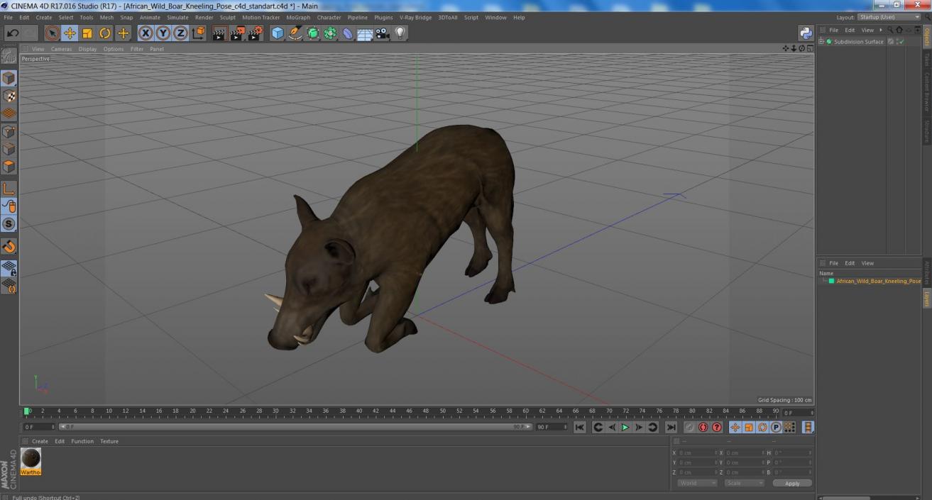 3D African Wild Boar Kneeling Pose 2 model