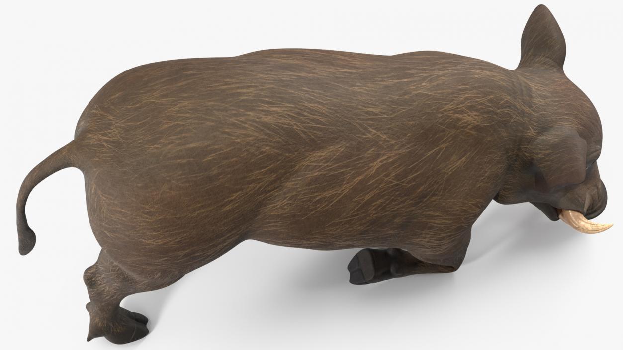 3D African Wild Boar Kneeling Pose 2 model