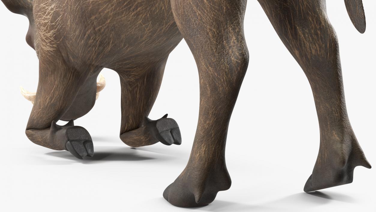 3D African Wild Boar Kneeling Pose 2 model