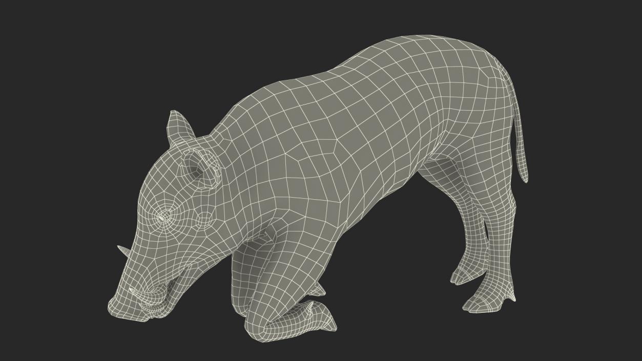 3D African Wild Boar Kneeling Pose 2 model