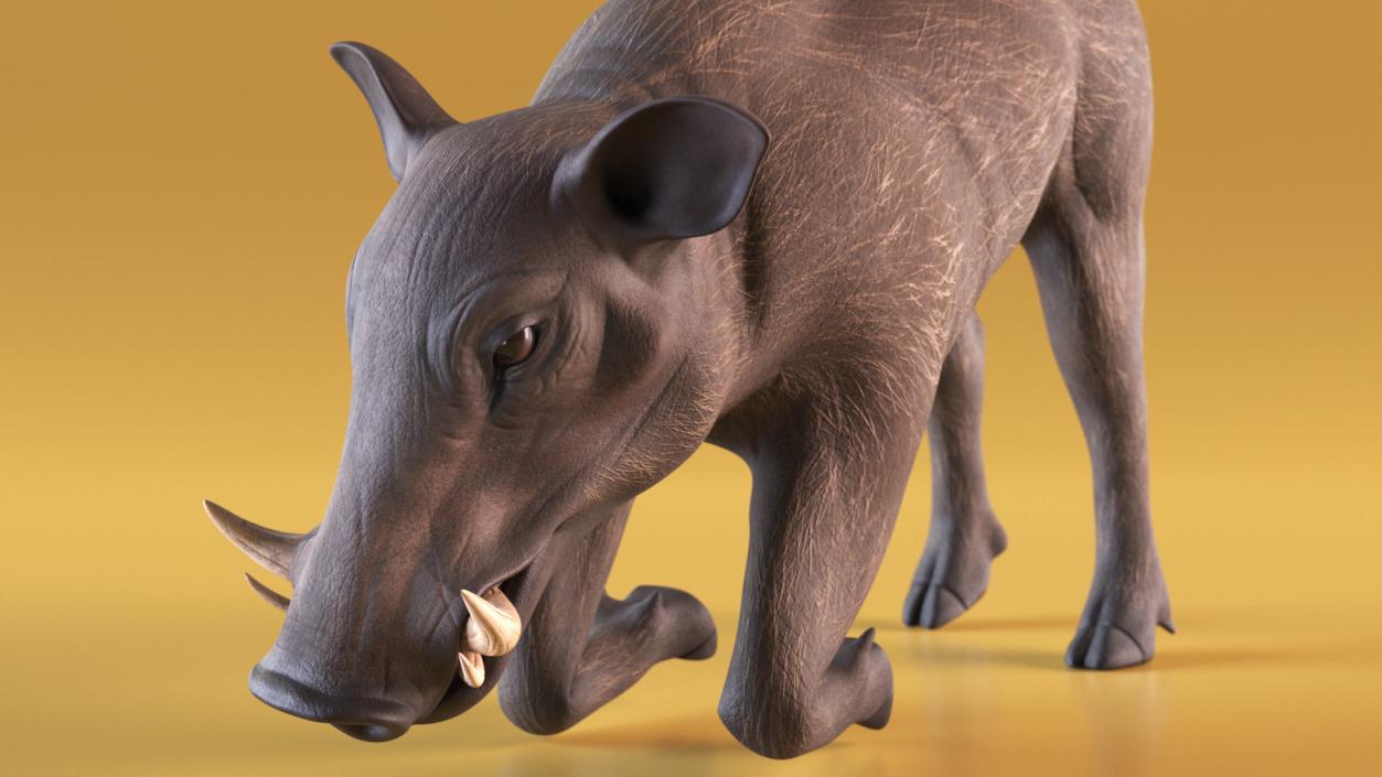 3D African Wild Boar Kneeling Pose 2 model