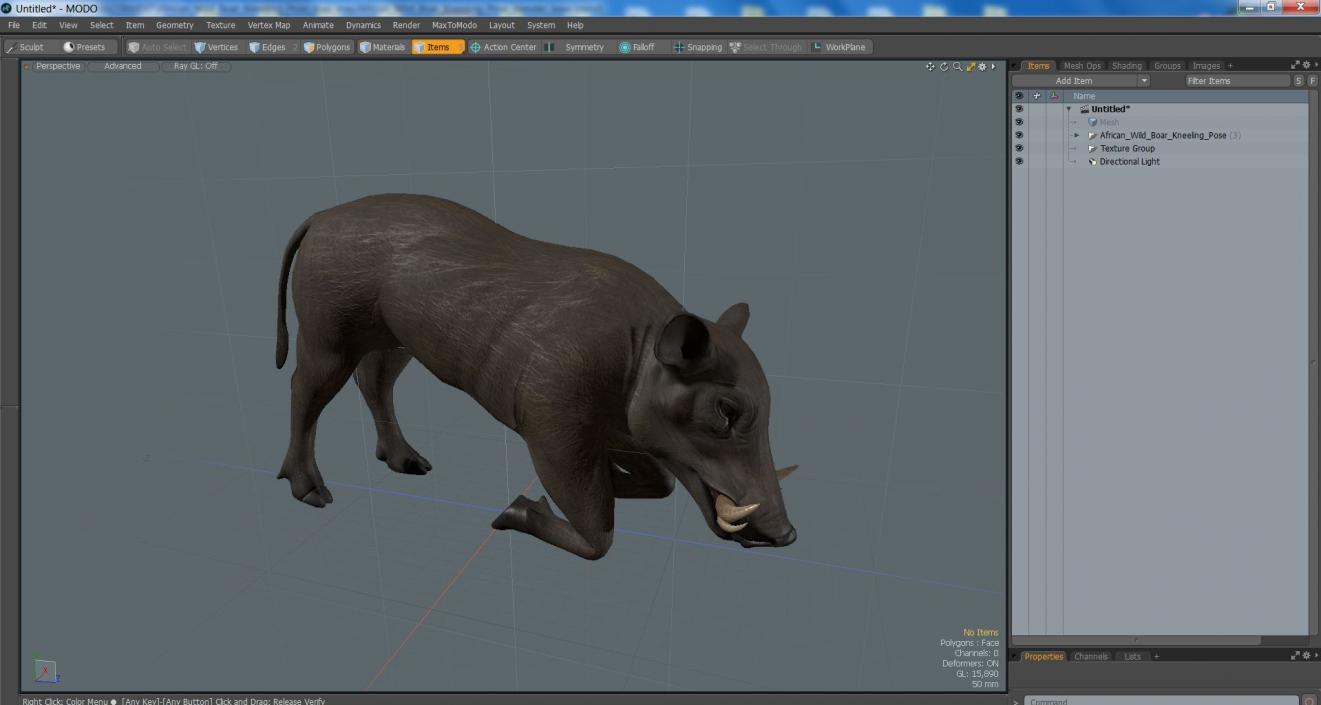 3D African Wild Boar Kneeling Pose 2 model